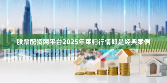 股票配资网平台2025年菜粕行情即是经典案例